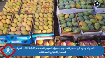 تحديث جديد في سعر المانجو بسوق العبور الجمعة 25-7-2025.. تعرف على أسعار الأنواع المختلفة